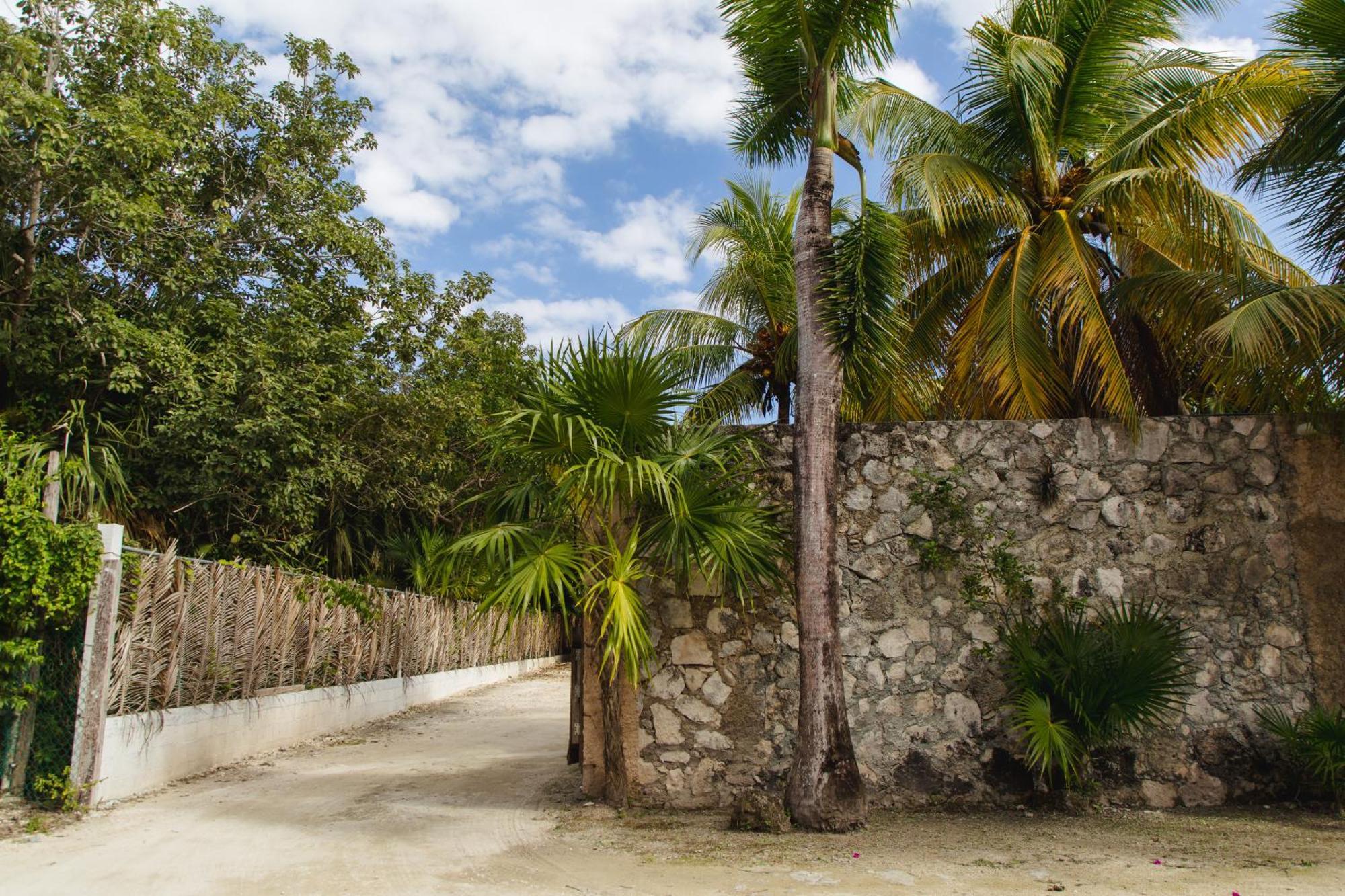 Angelina 28 Beachfront And Family Apartments - Modern And Relaxing Long Stays - 20 Min From Cancun Airport Puerto Morelos Esterno foto